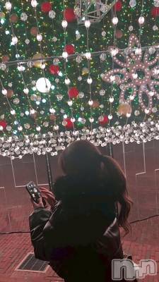 ��Į���ʥå��������륺�С�GIRL��S BAR SHELBY(�����륺�С�������ӡ�) ����ʤ�12��22���̥�֥����֤��餭���