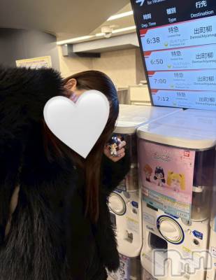 ��Į���ʥå��������륺�С�GIRL��S BAR SHELBY(�����륺�С�������ӡ�) ����ʤ�2��26���̥�֥����֥��åȡ�