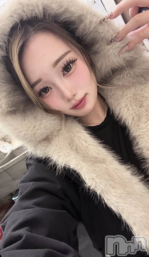 ƲХ顦JARDIN CLUB(󥯥) ͤ1123̥֥֤͡