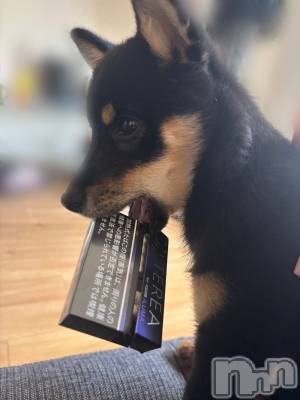 ��Ʋ����Х��顦�����JARDIN CLUB(�������󥯥��) ���(22)��11��29���̥�֥����֤�͡�