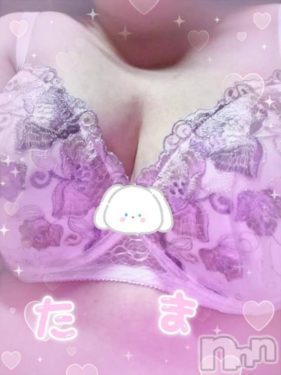 長岡人妻デリヘル多彩妻(タサイヅマ) たま(体験入店)(52)の8月19日写メブログ「今日は」