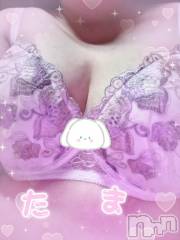 長岡人妻デリヘル多彩妻(タサイヅマ) たま(体験入店)(52)の8月19日写メブログ「今日は」