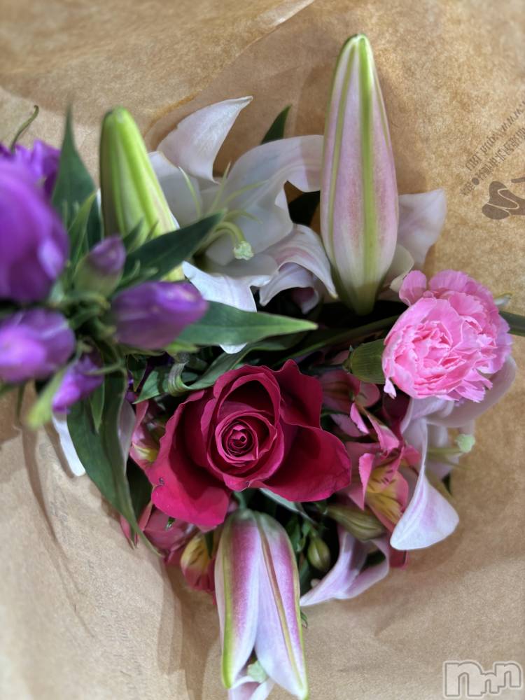 Ĺʥå륺Сѥ ¤þе-ä礤-(եѥ å祤) ߤ1025ֻ̥֥ιʵᡪ