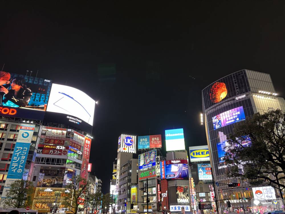 Ĺʥå륺Сѥ ¤þе-ä礤-(եѥ å祤) ߤ116̥֥֤狼ʤ