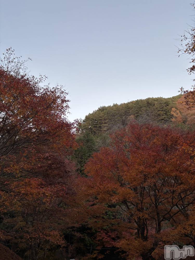 Ĺʥå륺Сѥ ¤þе-ä礤-(եѥ å祤) ߤ1118̥֥֥ꥮ꽩