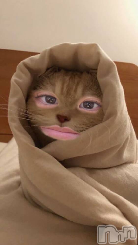 Ĺʥå륺Сѥ ¤þе-ä礤-(եѥ å祤) ߤ1130ּ̥֥ǯפ꤬ȤޤεȤäԤźơ