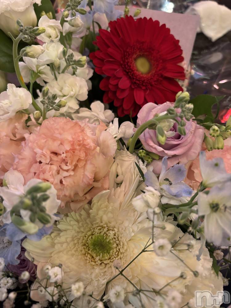 Ĺʥå륺Сѥ ¤þе-ä礤-(եѥ å祤) ߤ126̥֥֤꤬ȤޤȤΤ餻📢✨