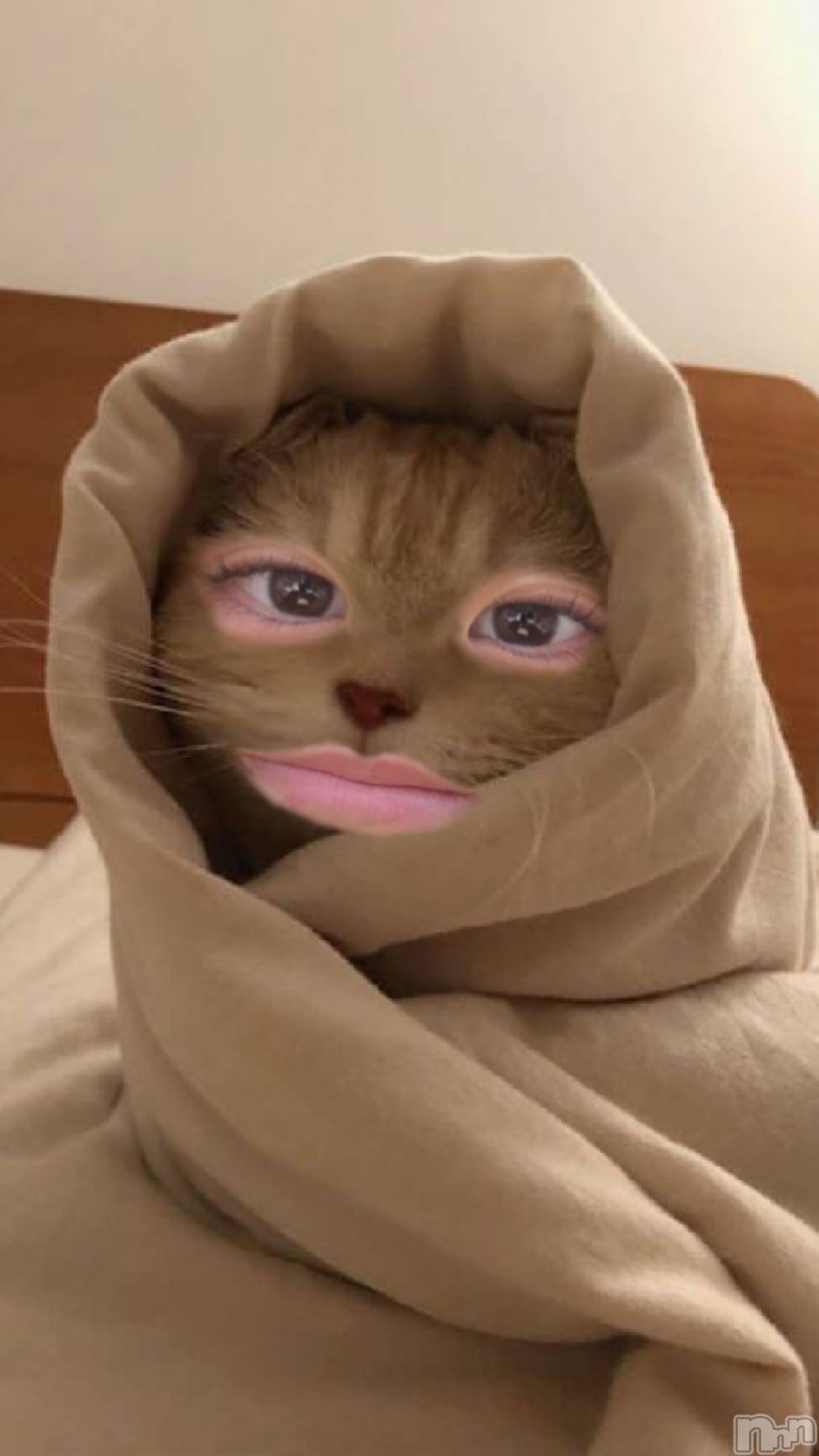 Ĺʥå륺Сѥ ¤þе-ä礤-(եѥ å祤) 2025ǯ1130ּ̥֥ǯפ꤬ȤޤεȤäԤźơ