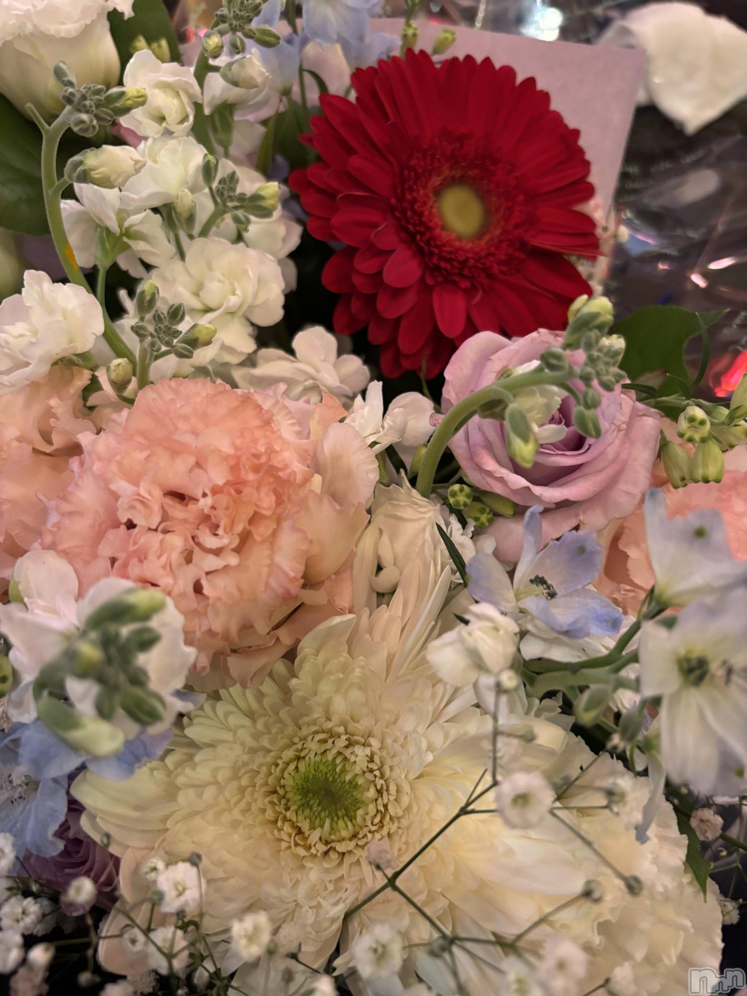 Ĺʥå륺Сѥ ¤þе-ä礤-(եѥ å祤) 2025ǯ126̥֥֤꤬ȤޤȤΤ餻📢✨