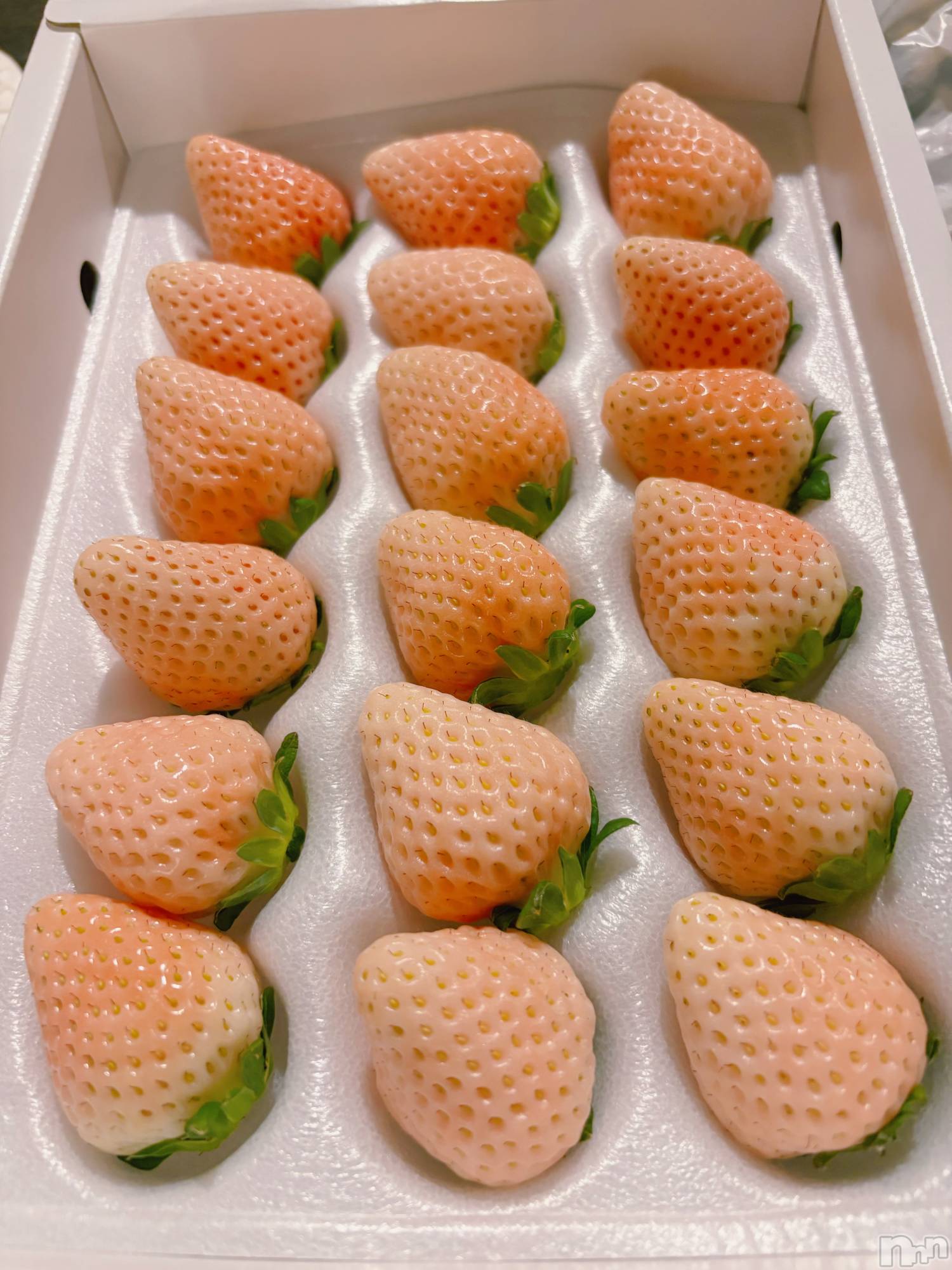 Ĺ��ʥå��������륺�С����פꥹ�ʥå�����ä��礤(���ޥĥꥹ�ʥå�����å��祤) ��2026ǯ4��2���̥�֥����֤�����������🍓💖��