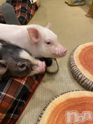 Ĺ��ʥå��������륺�С������ѥ� �¤þе�-��ä��礤-(��ե��ѥ� ��å��祤) �ߤ�(22)��12��20���̥�֥����֤��������Ť����Ǥ���褦�ˤʤꤿ��🙂‍↕️��