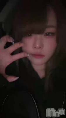 ���䤹�ߤ��������ޤ�(ᐡᴗ ̫ ᴗᐡ)