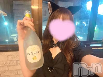 ����������ʥå��������륺�С�Girls Bar Bacchus�������Ź(�Хå��������ޥ��ƥ�) ���ޤ�7��19���̥�֥����֤����ͤ�🐈‍⬛��