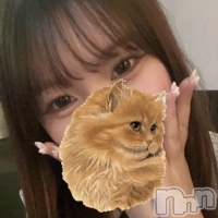 줤