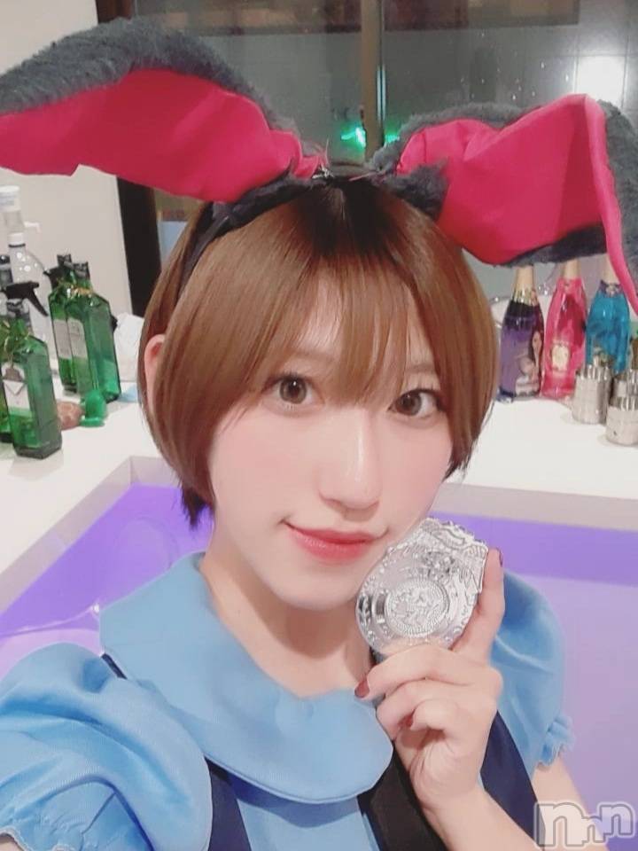 ʥå륺СLAPLUS(ץ饹) 2025ǯ114̥֥֥ϥ🎃