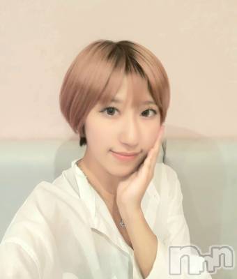 ʥå륺С LAPLUS(ץ饹) β(1)
