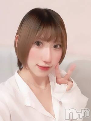 ����������ʥå��������륺�С� LAPLUS(��ץ饹) �����β���(1����)