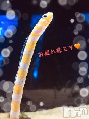 新潟風俗エステ GRACE　新潟(グレース　ニイガタ) 【新人】佐伯（さえき）(29)の8月6日写メブログ「延長しました😊✨」