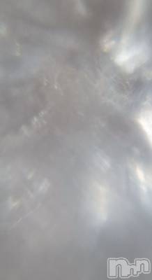 襢 ǯҥߥ / Ĺ163cm