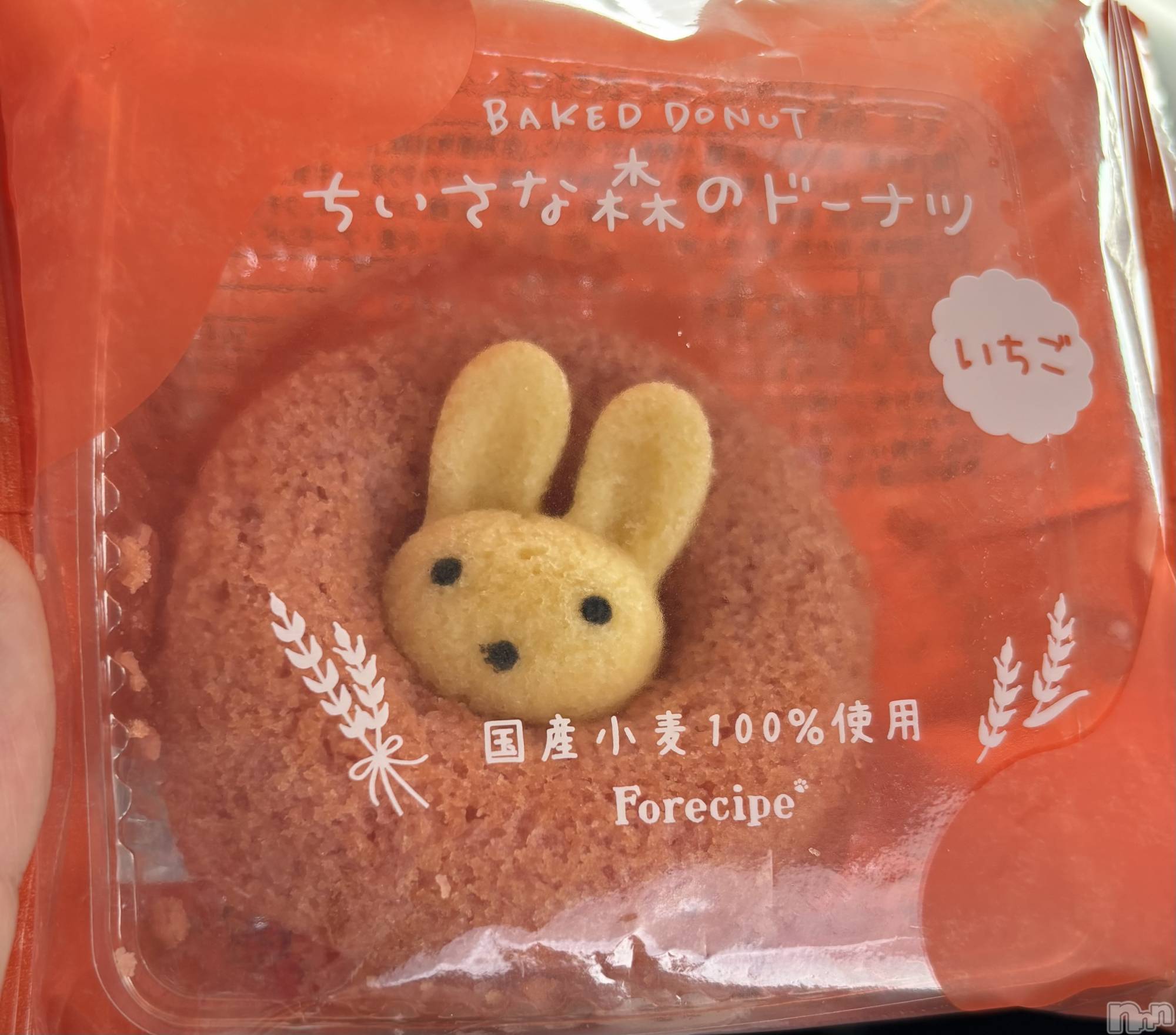 ��ˬ����Х��顦�����CLUB K����Prologue��(����֥���) ��2026ǯ1��28���̥�֥�����❣️��