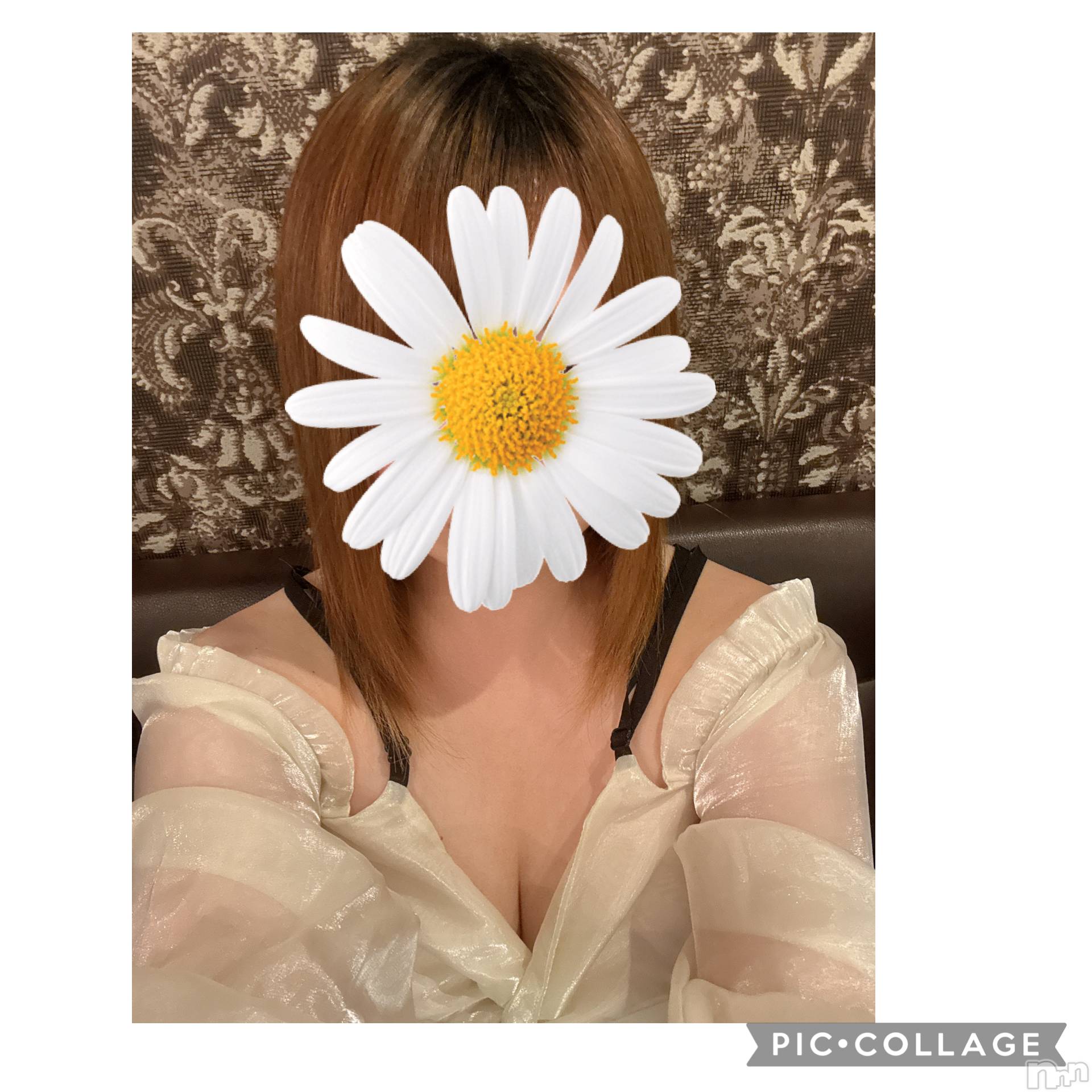 ��ˬ����Х��顦�����CLUB K����Prologue��(����֥���) ��2026ǯ4��12���̥�֥�����🌸��