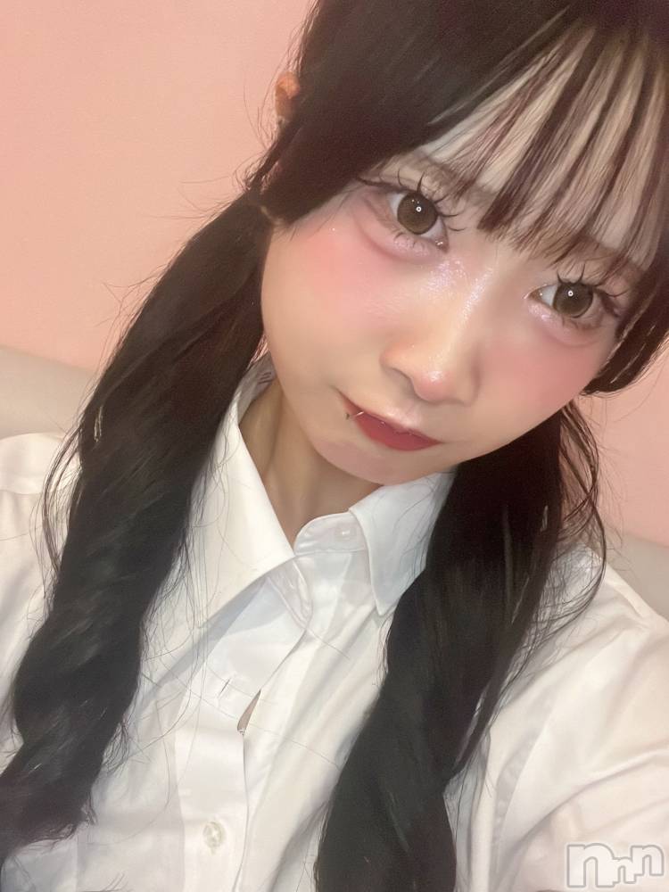 ʥå륺СLAPLUS(ץ饹) 716̥֥֤Ϥޤ🩵