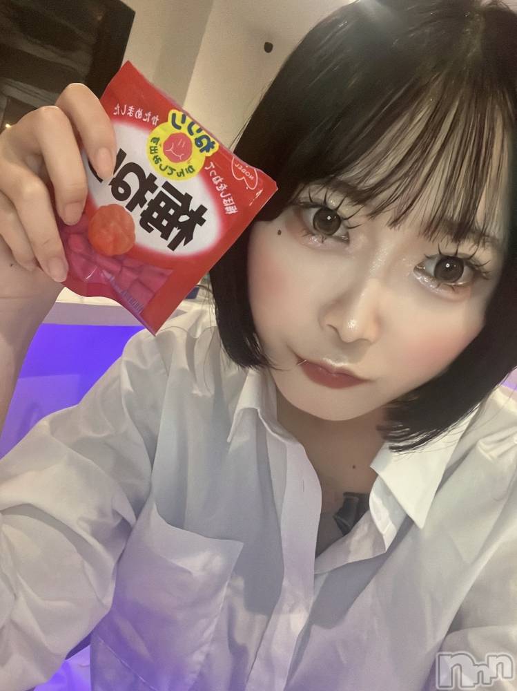 ʥå륺СLAPLUS(ץ饹) 92̥֥ߤͤ