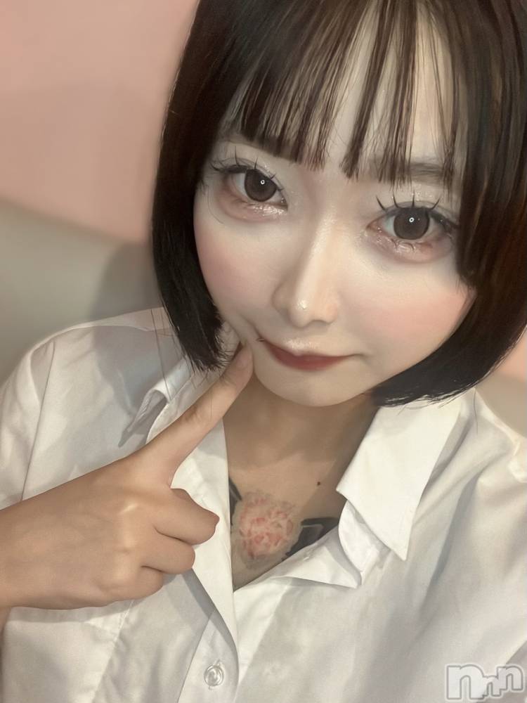 ʥå륺СLAPLUS(ץ饹) 98̥֥ȱڤꤹ