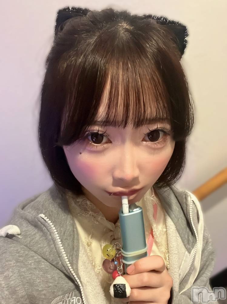 ʥå륺СLAPLUS(ץ饹) 105̥֥֥祳ߥȤġ