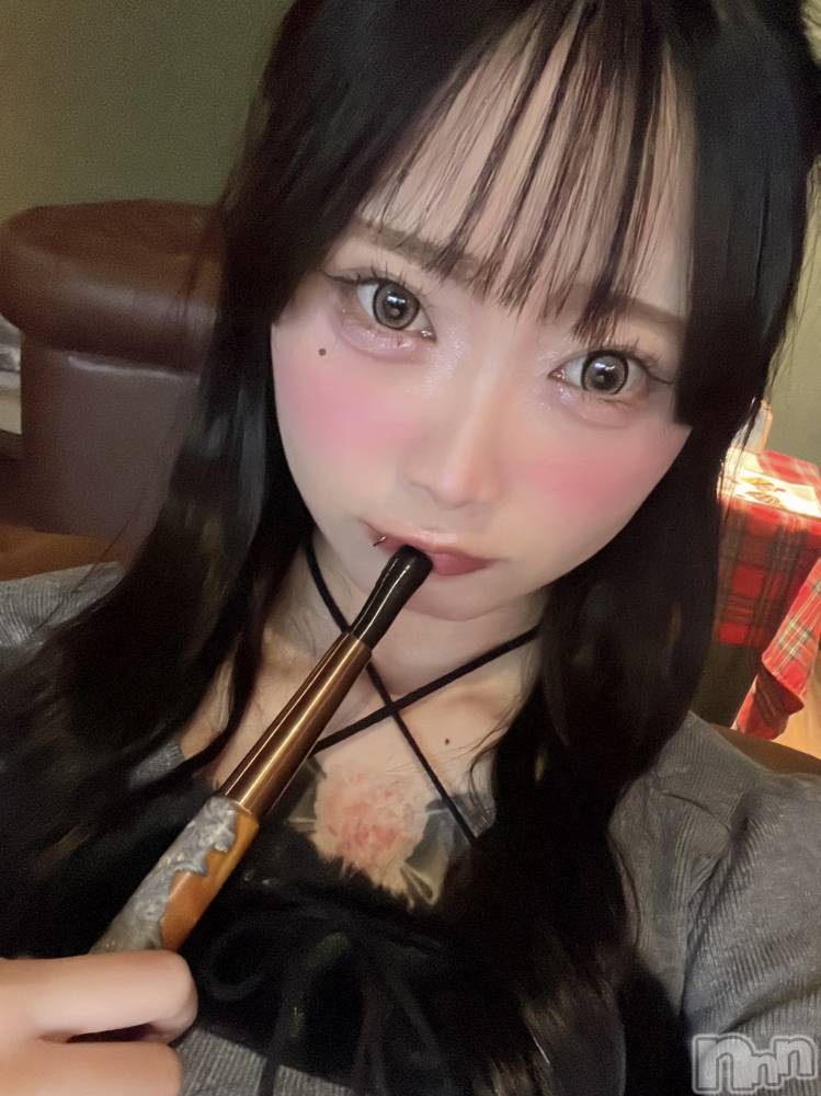 ����������ʥå��������륺�С�LAPLUS(��ץ饹) ������2��28���̥�֥����ּ�̣�äƤʡ������