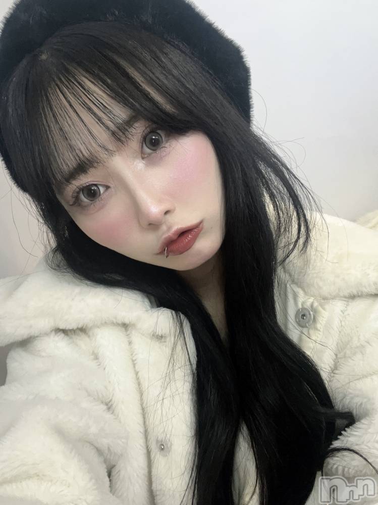 ����������ʥå��������륺�С�LAPLUS(��ץ饹) ������3��2���̥�֥����֤������夭��