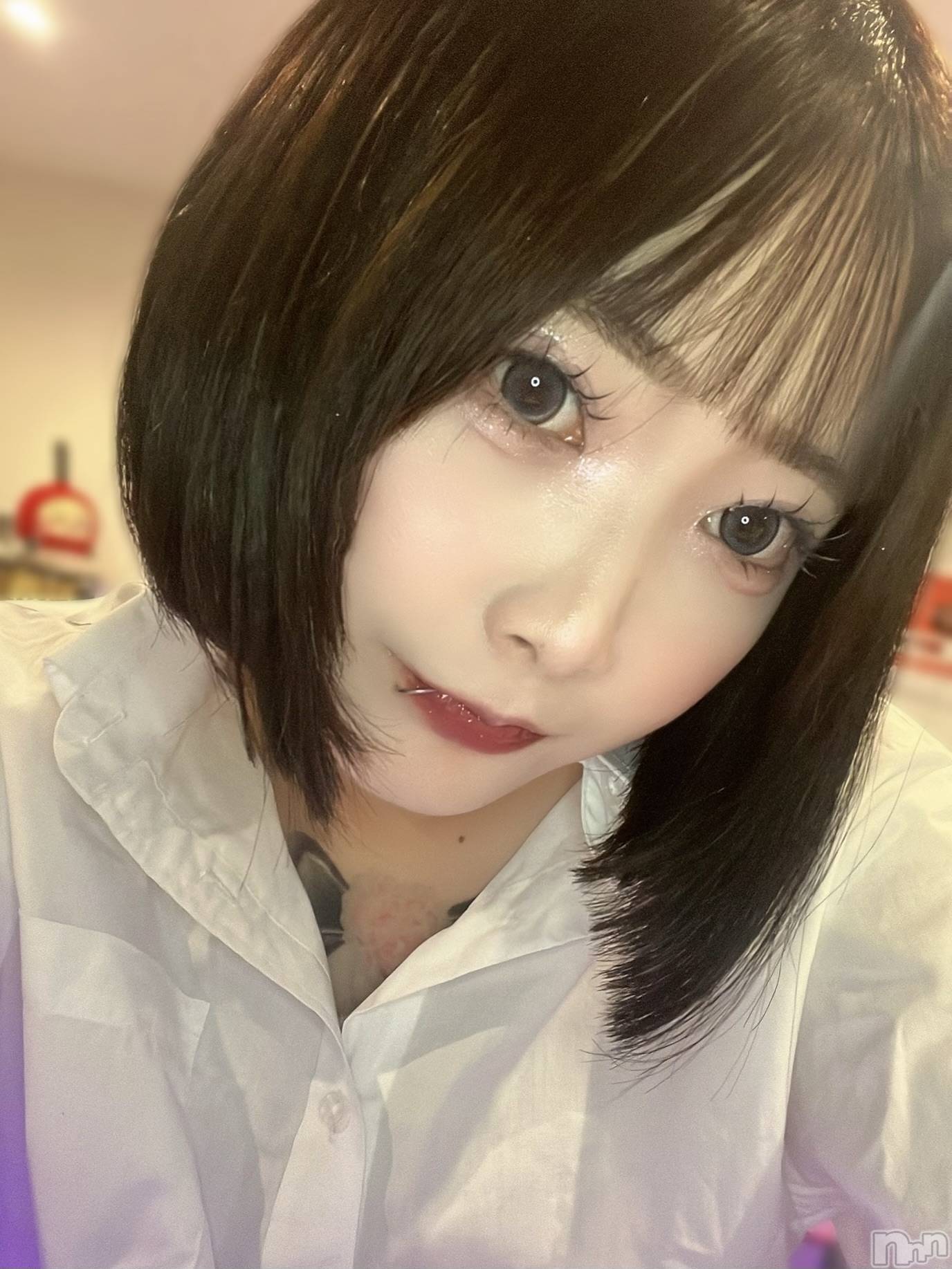 ʥå륺СLAPLUS(ץ饹) 2025ǯ913̥֥ꥺ