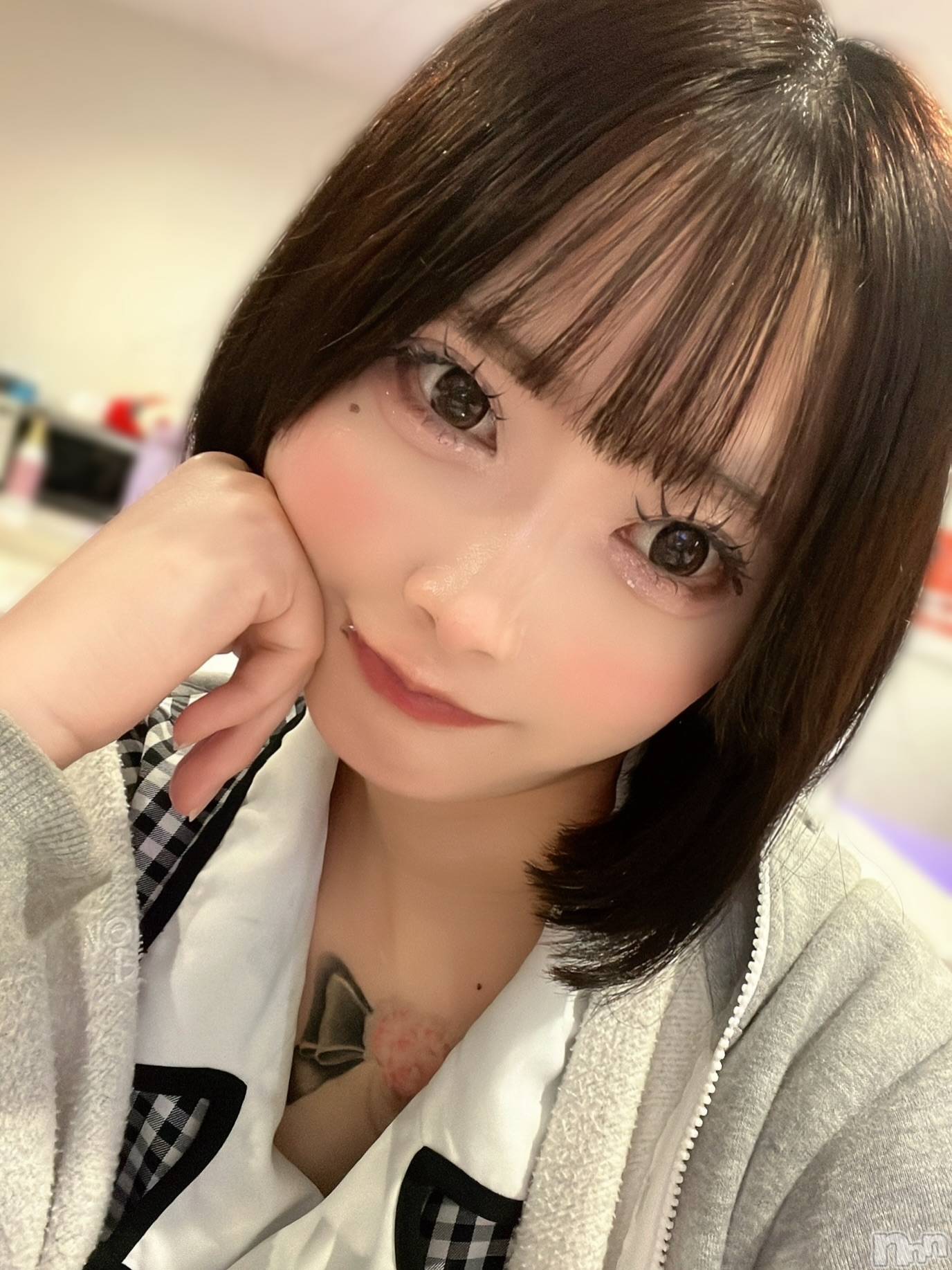ʥå륺СLAPLUS(ץ饹) 2025ǯ103̥֥꤬Ѥ