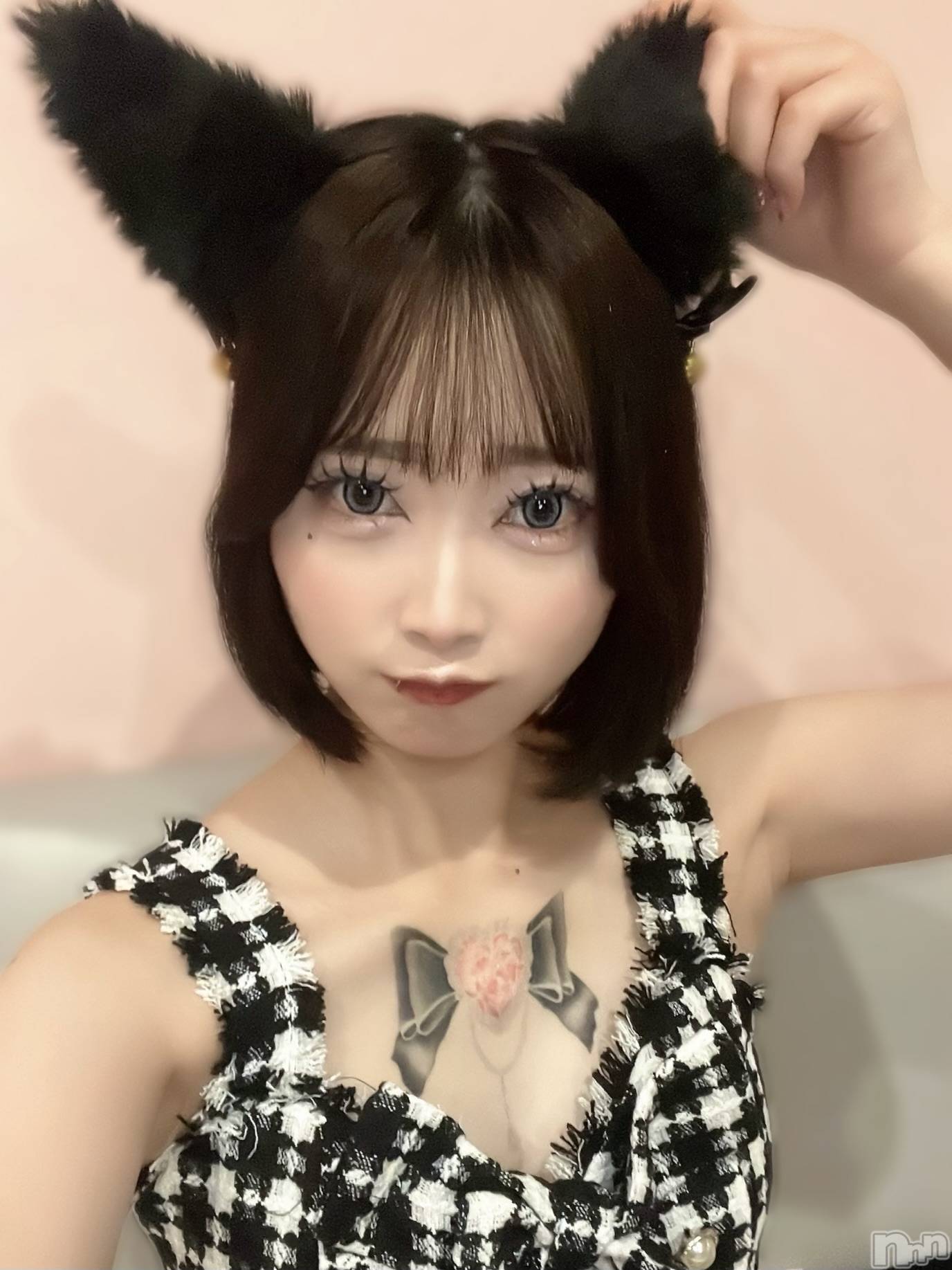 ʥå륺СLAPLUS(ץ饹) 2025ǯ112̥֥֤Ϥ🎃