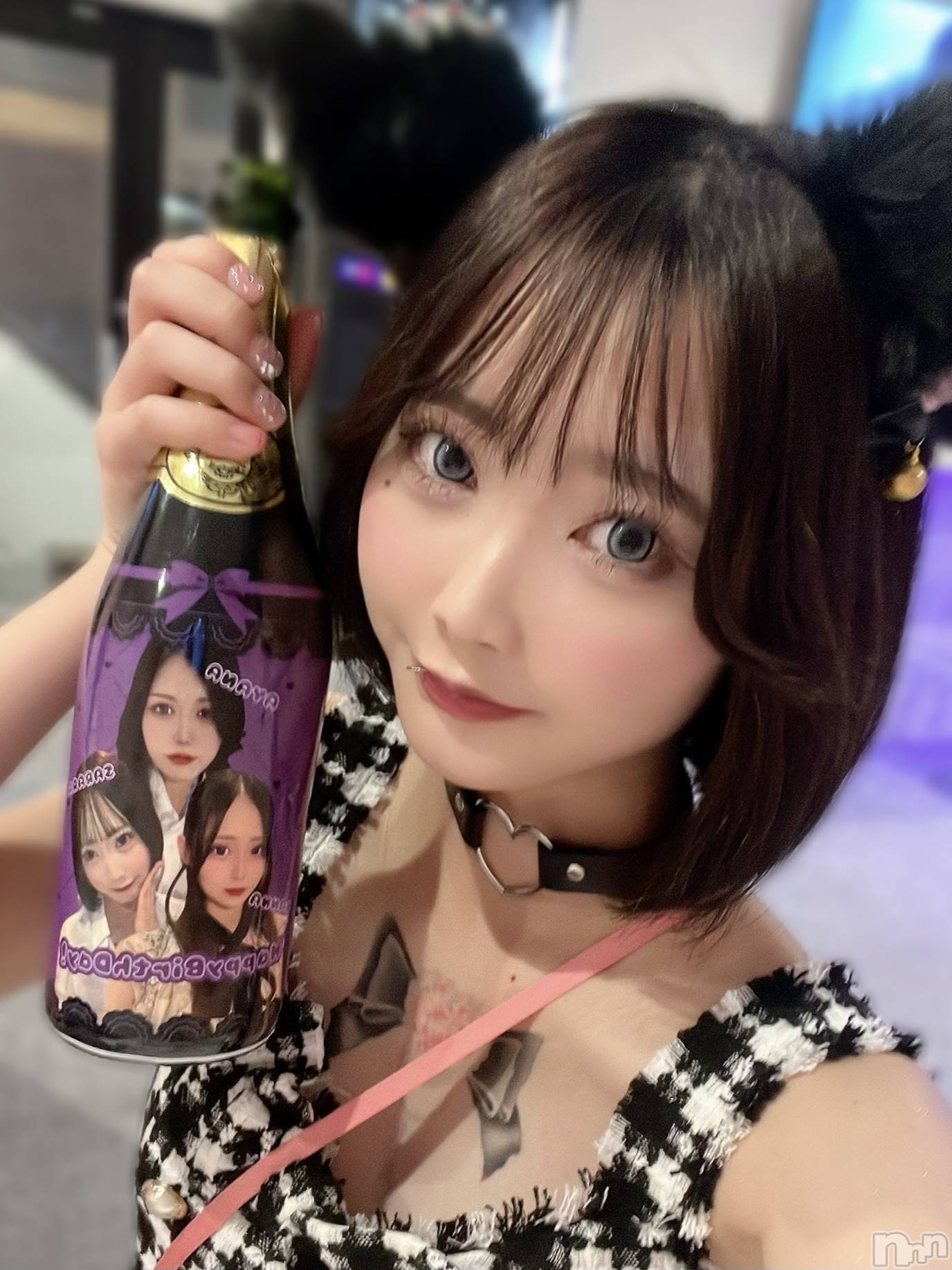 ʥå륺СLAPLUS(ץ饹) 2025ǯ114̥֥֤Τäʡ