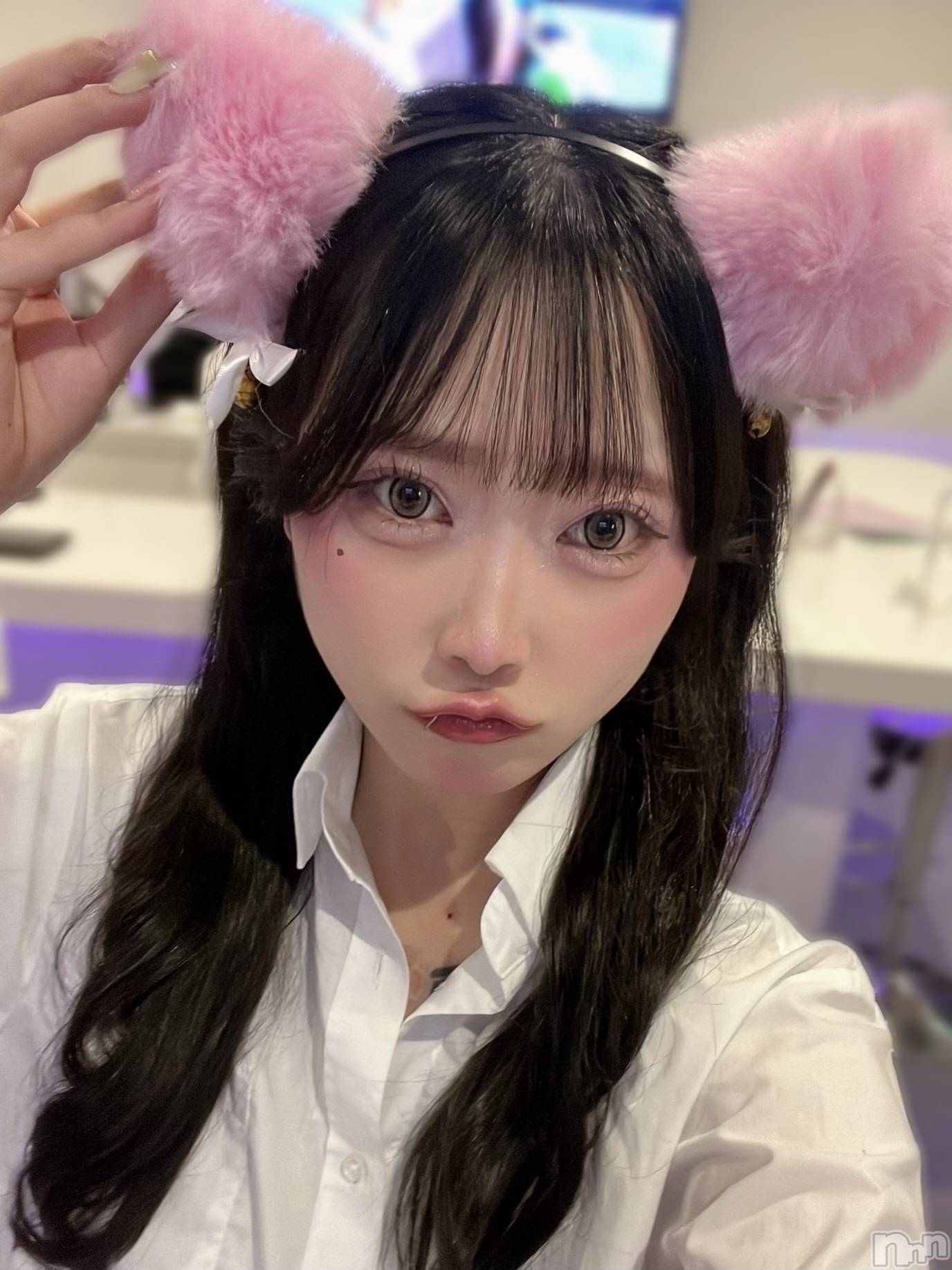 ����������ʥå��������륺�С�LAPLUS(��ץ饹) ��2026ǯ2��23���̥�֥�����ǭ���ä��ʡ�