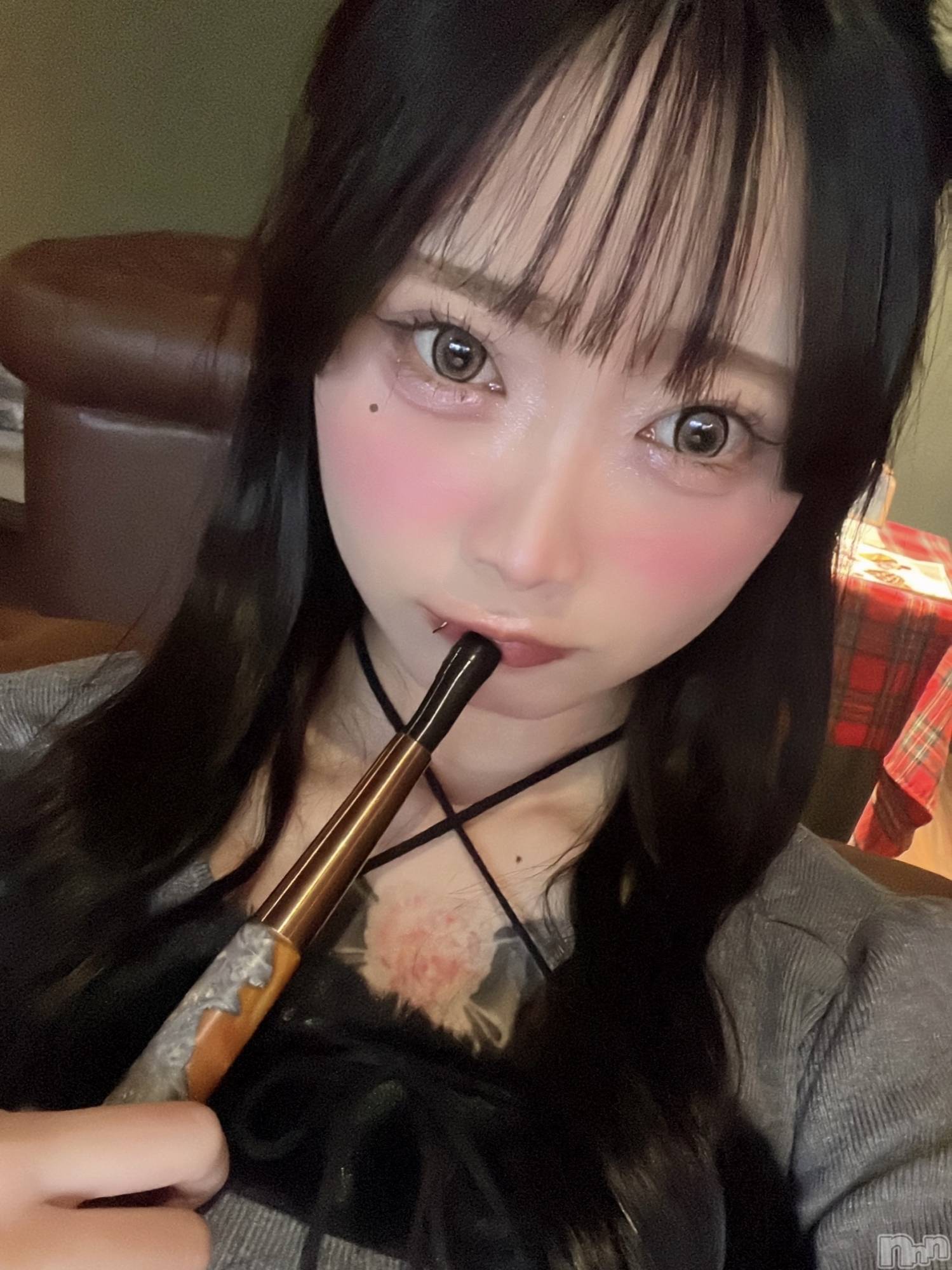 ����������ʥå��������륺�С�LAPLUS(��ץ饹) ��2026ǯ2��28���̥�֥����ּ�̣�äƤʡ������