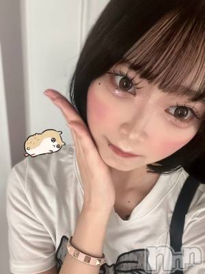 (20) Ĺ164cmʥå륺С LAPLUS(ץ饹)ҡ