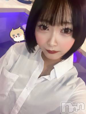 (20) Ĺ164cmʥå륺С LAPLUS(ץ饹)ҡ