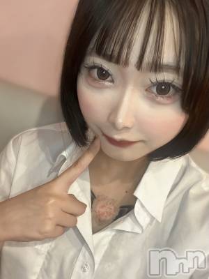 ʥå륺СLAPLUS(ץ饹) (20)98̥֥ȱڤꤹ