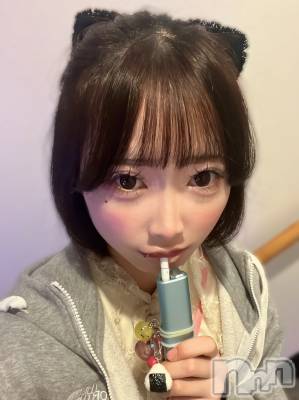 ʥå륺СLAPLUS(ץ饹) (20)105̥֥֥祳ߥȤġ