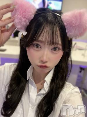 �����(21) ��Ĺ164cm������������ʥå��������륺�С� LAPLUS(��ץ饹)���ҡ�