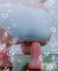 長岡デリヘル奥様特急 長岡店(オクサマトッキュウナガオカテン) はなび(30)の1月30日写メブログ「たくさん🎵」