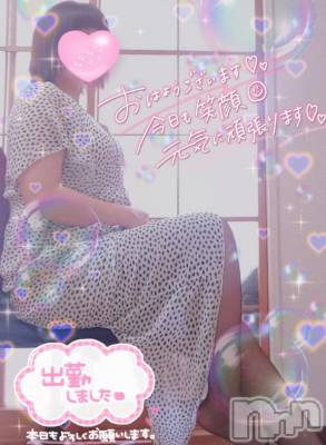 長岡人妻デリヘル 奥様特急 長岡店(オクサマトッキュウナガオカテン) はなび(30)の8月30日写メブログ「出勤🎵」