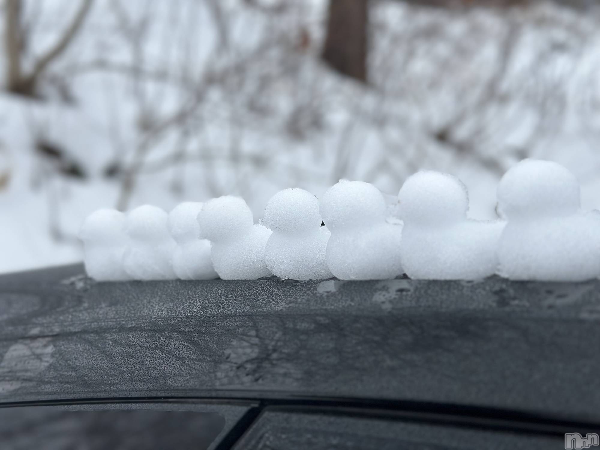 三条デリヘル人妻じゅんちゃん-出稼ぎ0！地元の奥様専門-(ヒトヅマジュンチャン)夏樹なお☆誰もが振り返る若奥様(27)の2026年3月25日写メブログ「30分サービス❤️❤️」