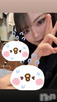 Įʥå륺СGIRLS BAR SHELBY(륺Сӡ) (20)1010̥֥ȱ᤿