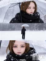 Įʥå륺СGIRLS BAR SHELBY(륺Сӡ) (20)1031̥֥ήԤΤ줿