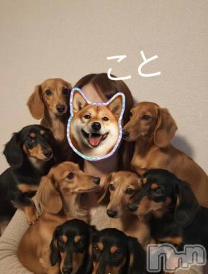 新潟デリヘル 熟女の風俗 最終章(ジュクジョノフウゾクサイシュウショウ) こと(32)の2月24日写メブログ「😊」