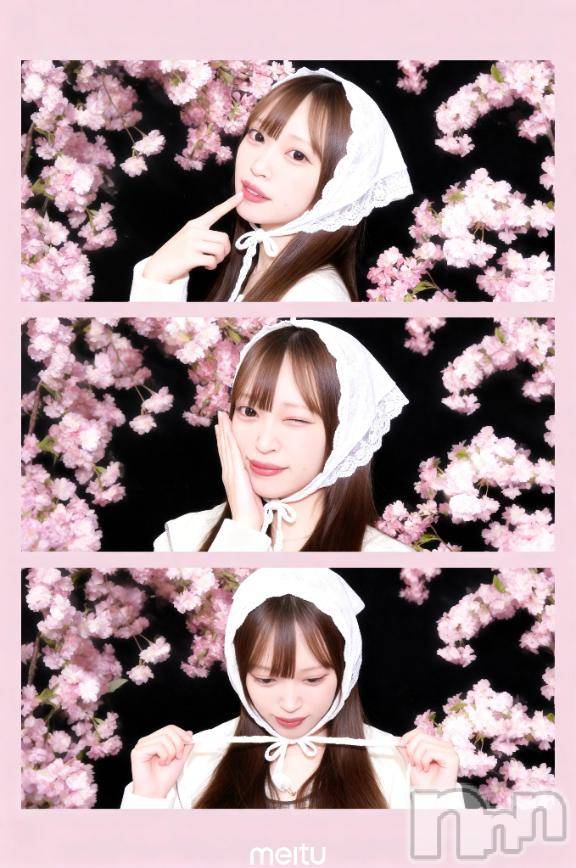 上越デリヘルBLUE BIRD上越店(ブルーバード上越店) きらら(23)の4月3日写メブログ「お花見よりデリヘルだよ🥺🩵」