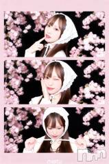 上越デリヘルBLUE BIRD上越店(ブルーバード上越店) きらら(23)の4月3日写メブログ「お花見よりデリヘルだよ🥺🩵」